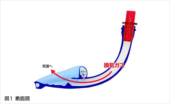 SPタイプの断面図