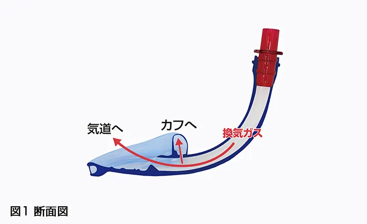 SPタイプの断面図